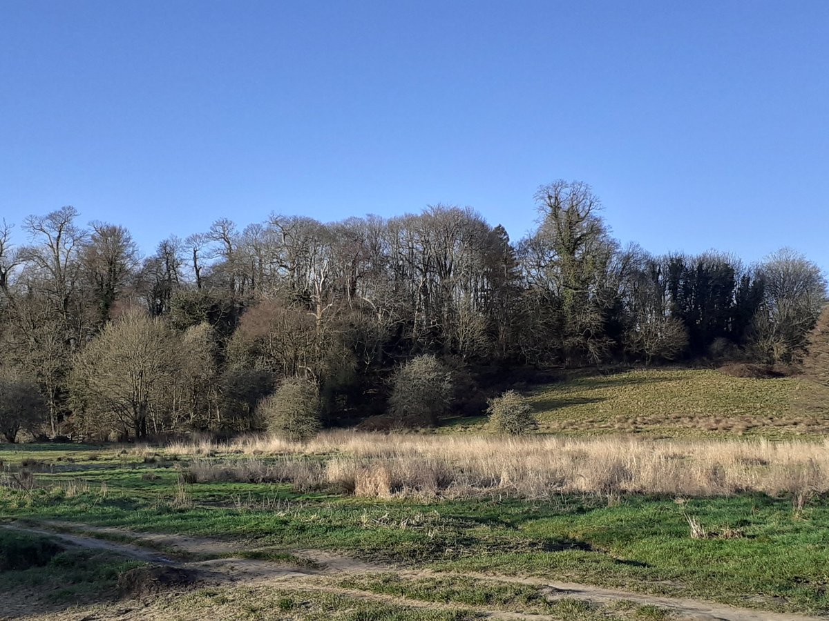 Janetalkstrees's tweet image. Always a good week when it includes visiting 2 national parks in 2 days...considering open habitat restoration and blended finance in the New Forest and South Downs respectively.