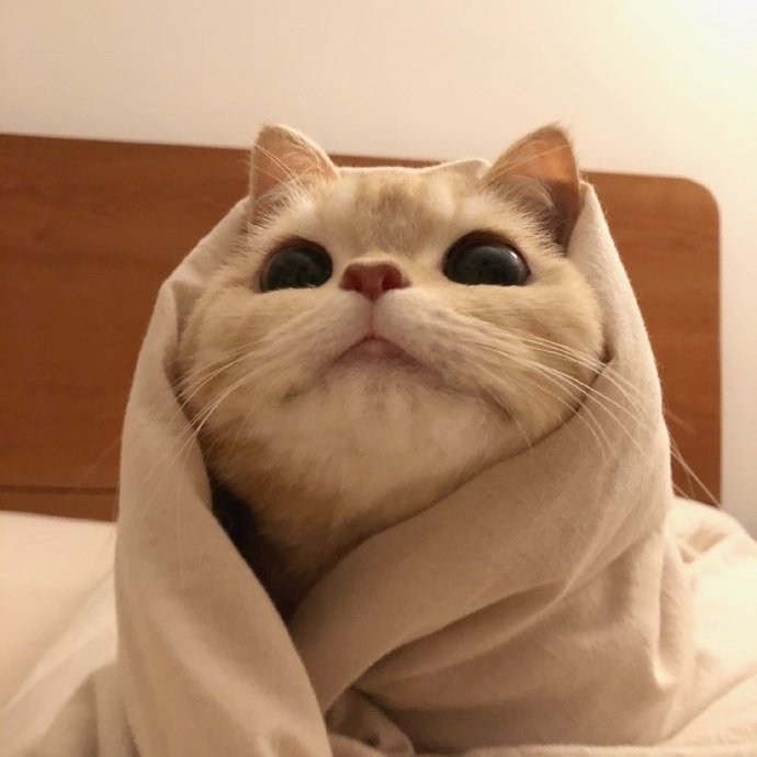 itzmovan's tweet image. #NewProfilePic