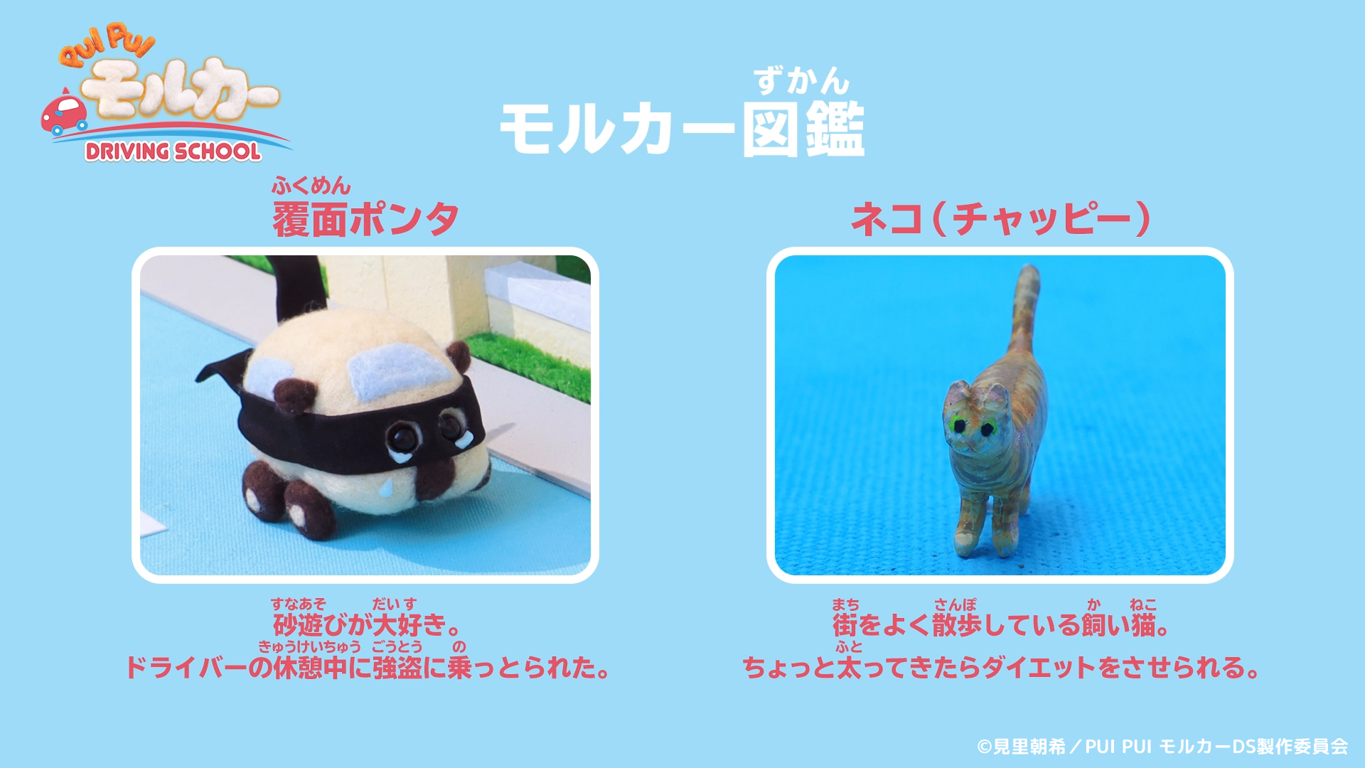 イヌ　次回発送5月7日 モバイルファクトリーカー 10台 PUI PUI モルカー【公式】 on X: 