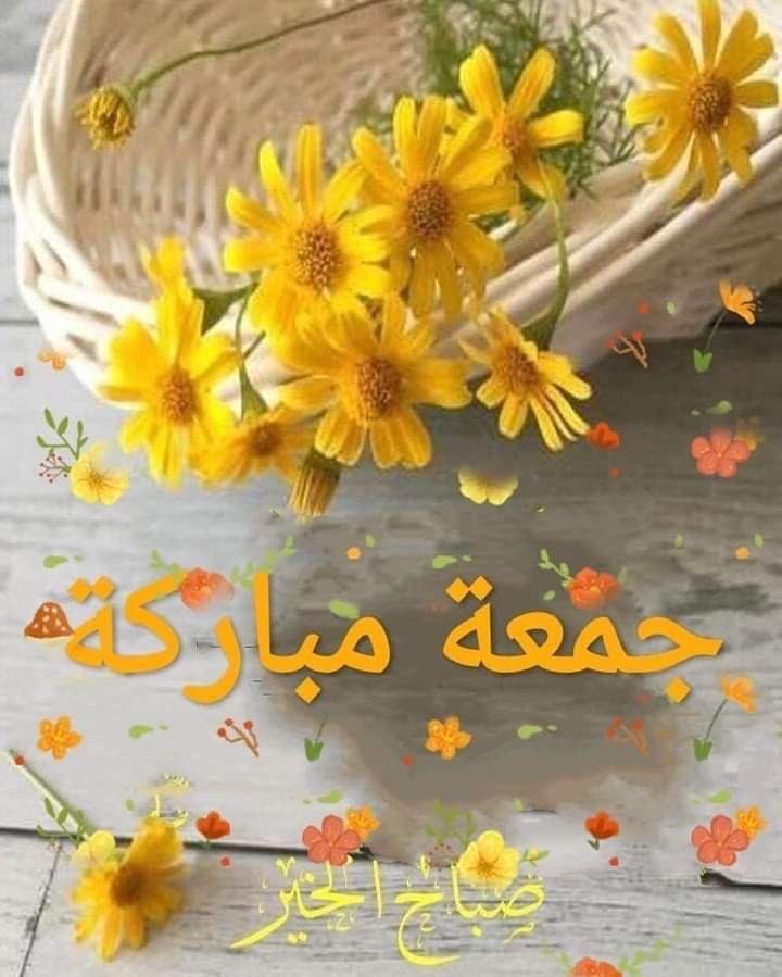 𝓐𝓛𝓘𝓐𝓐 ❥ tweet media