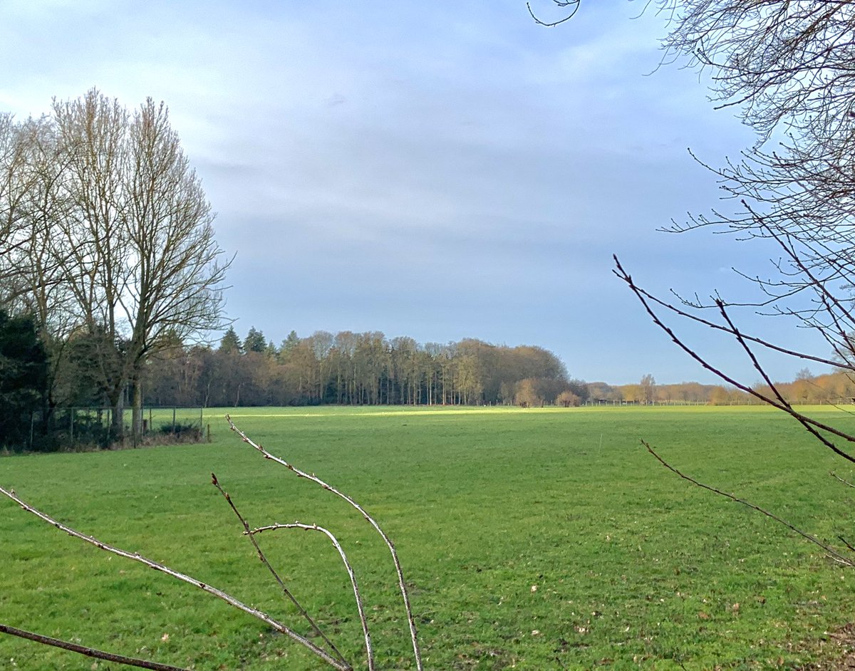 WildBeheerEenhd's tweet photo. Wat een prachtige ochtend.
.
.
.
.
#krommerijngebied #landschap #natuur #natuurfoto #buitenleven #fauna #faunabeheer #wildbeheer #utrechtseheuvelrug #voorjaar #lente #jagersvereniging #jacht #natuurbescherming #weiland #boer #boswachter #groen #hazen #utrecht #polder https://t.co/n64XccbbRV