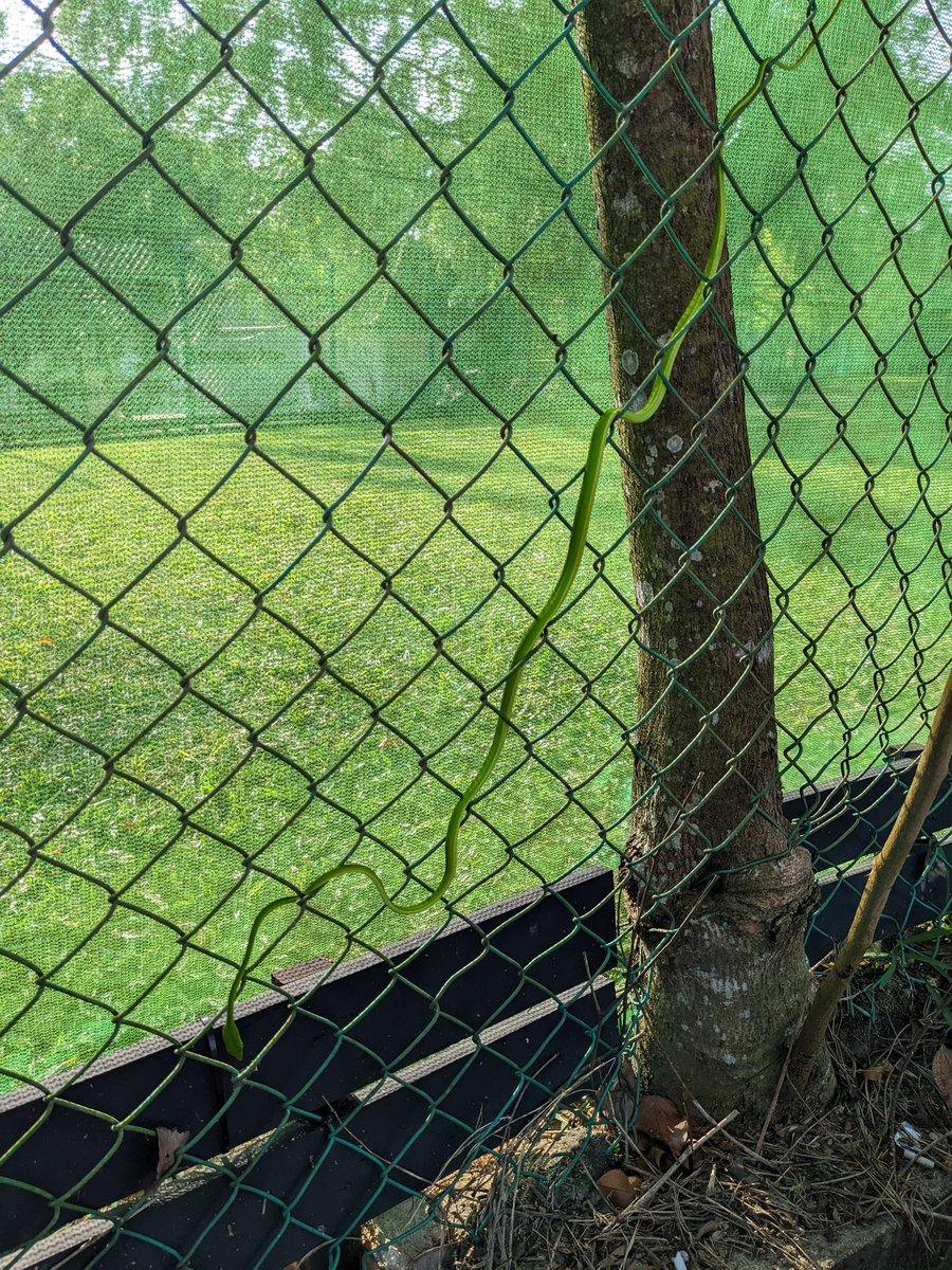 Florian Hopf tweet media