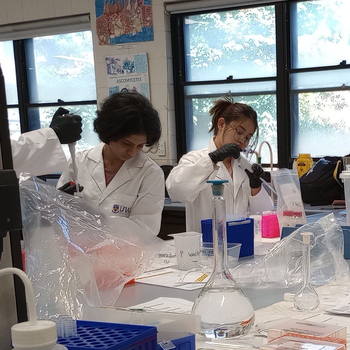 👨‍🔬Andrew Rate 🌏💚 tweet media