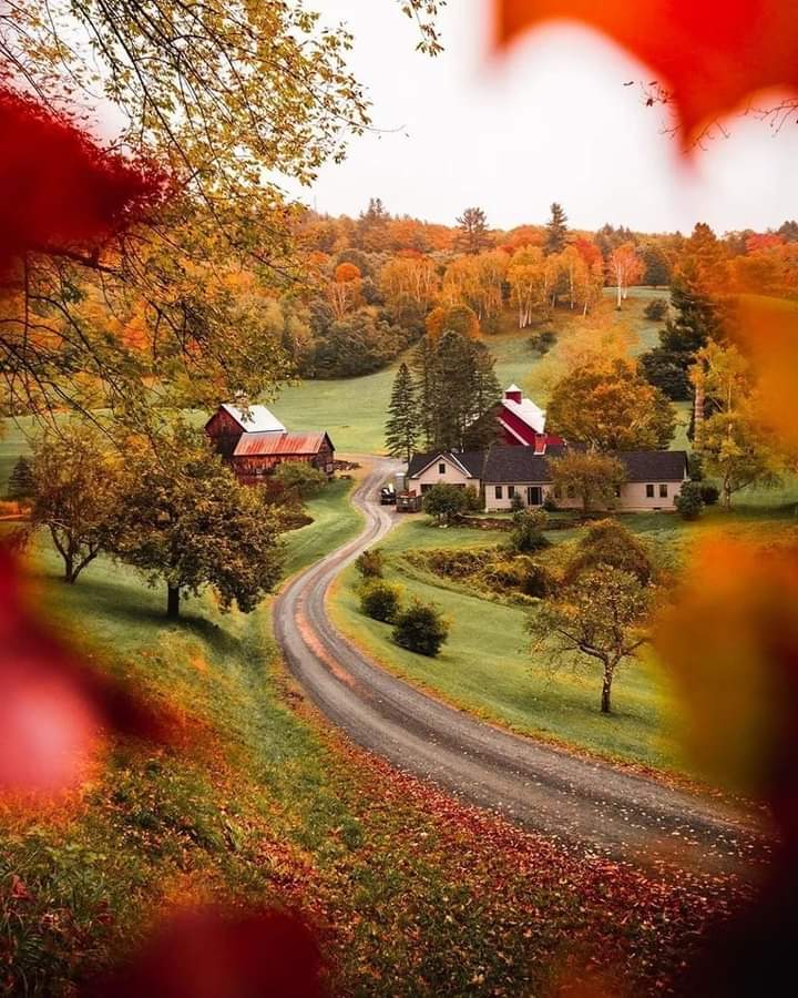 Colourful nature at Vermont,USA... Photo by alinazbv...