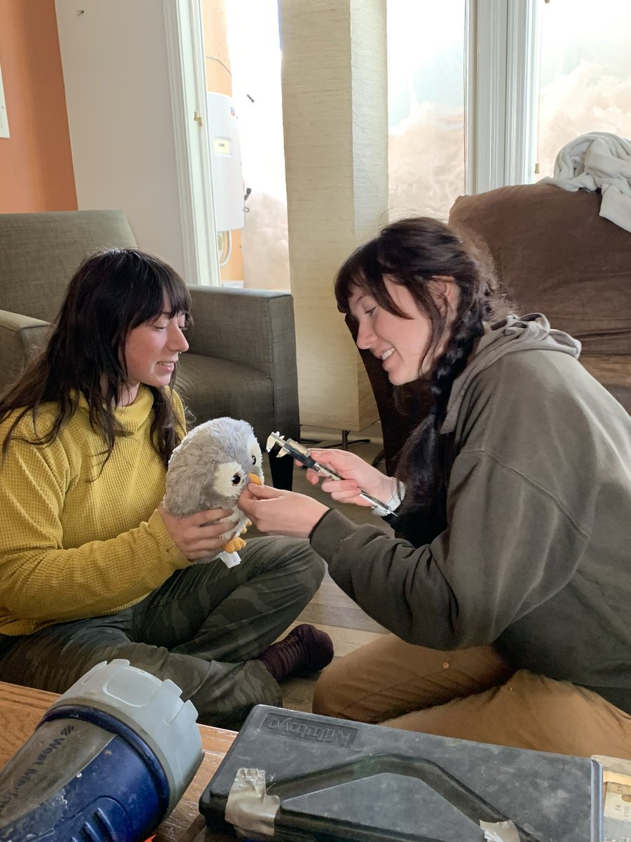 AlexisRickert1's tweet photo. Professional training on how to take morphological measurements of the greater sage-grouse. Ignore the falling apart caliper case. https://t.co/7VjUX1w1x0
