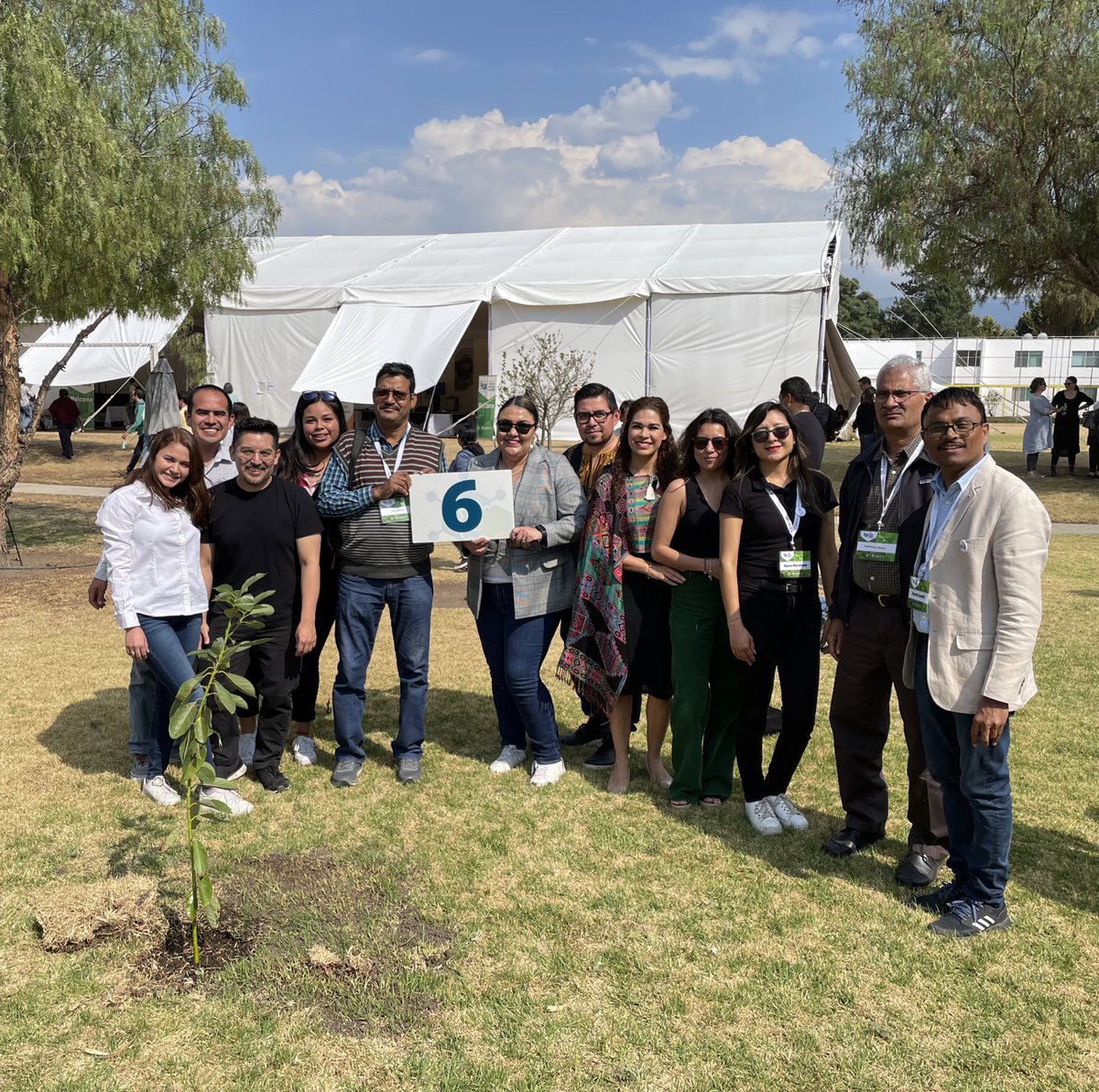 CIMMYTLegal's tweet photo. @CIMMYT planted trees in the framework of the #ScienceandInnovationWeek and CIMMYT’s strategy 2030. Tree number 6 by the Legal Department and crop colleagues https://t.co/69xTLGic4X