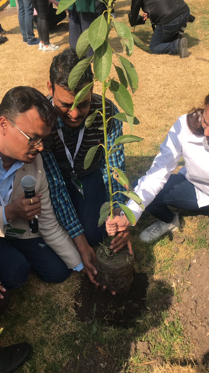 CIMMYTLegal's tweet photo. @CIMMYT planted trees in the framework of the #ScienceandInnovationWeek and CIMMYT’s strategy 2030. Tree number 6 by the Legal Department and crop colleagues https://t.co/69xTLGic4X