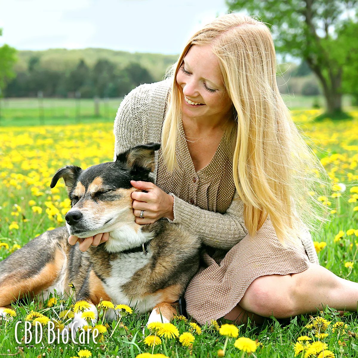 CBD4Relief's tweet photo. Do you or your pet suffer from #SeasonalAllergies?
Our #CBD #PrebioticSpray can work wonders for both you and your pet this allergy season!
Read amazing real customer reviews below…
Save $10 NOW!
Shop-https://t.co/DFtWw75nRU
#AllergyRelief #HotSpots #BaldSpots https://t.co/1U1qY26fqa