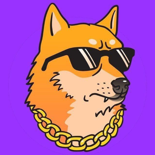 Every Dog 🐕 has his Day $BOSS