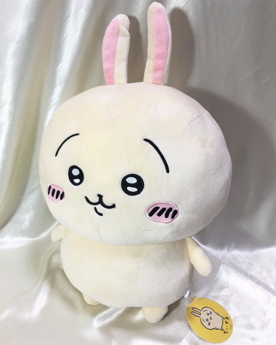 tagatookshop's tweet photo. น้องชิคาวะ ขนนุ่ม ตัวกลมน่ากอด😽

Price: 290 บาท (thb)

Size : 40 cm
🏷 ใหม่ป้ายห้อย ✨Nagano
🧼 already clean https://t.co/kVHzAitbmA