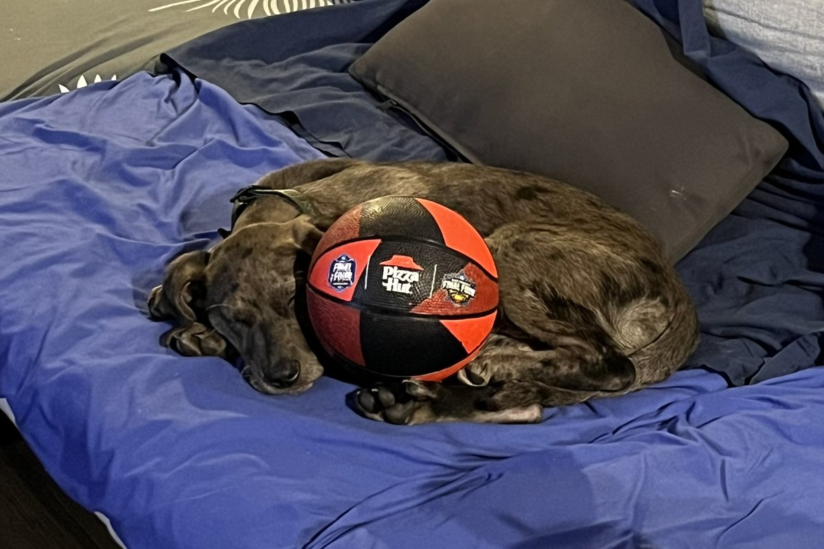 First day of #MarchMadness was really exhausting 😴

<a href="/pizzahut/">Pizza Hut</a> <a href="/MarchMadnessMBB/">NCAA March Madness</a>