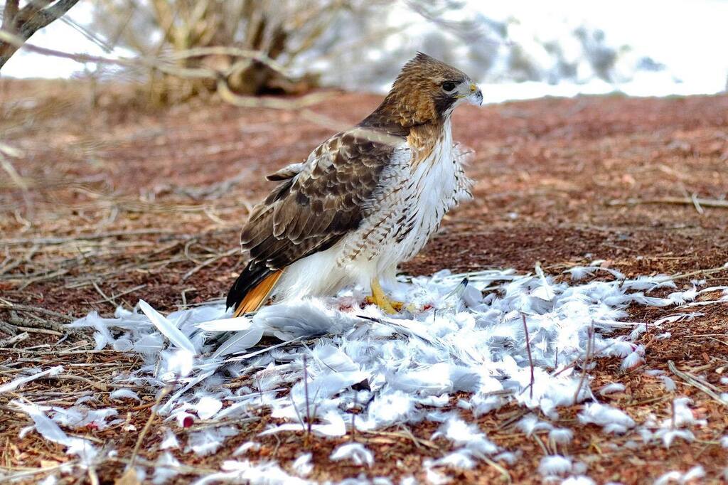 lagbot's tweet image. “Every one of us is, in the cosmic perspective, precious. In a hundred billion galaxies, you will not find another.” - Carl Sagan instagr.am/p/Cp3_R0Isxfo/