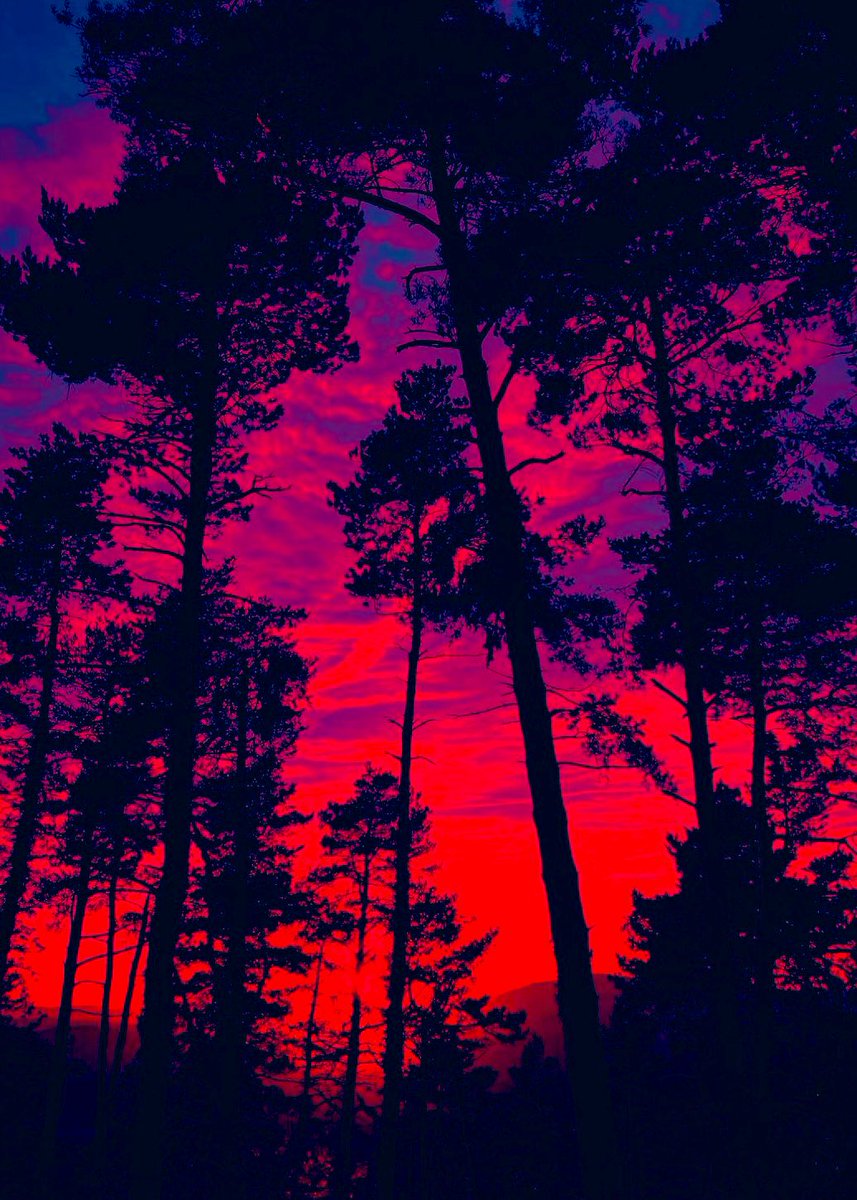 Krystal Rain ✨✨✨ (@krystalrain77) on Twitter photo 