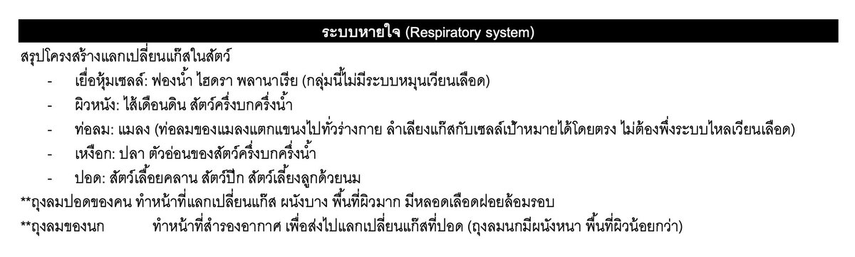 พี่บอล bioislike tweet media