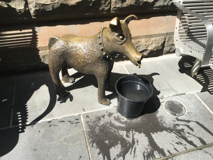 cityofmelbourne's tweet photo. Melbourne, brace yourselves for a scorcher tomorrow 🌡️  

Find hydration stations and cool spots in the city plus helpful tips to take care of yourself and loved ones 🗺️

Read more: https://t.co/EUPw6HbMlz https://t.co/5ZjDY89lMx