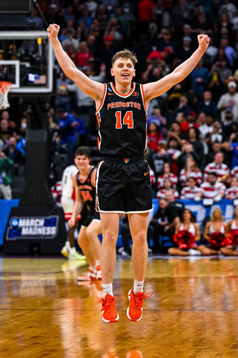 Princeton Tigers tweet media