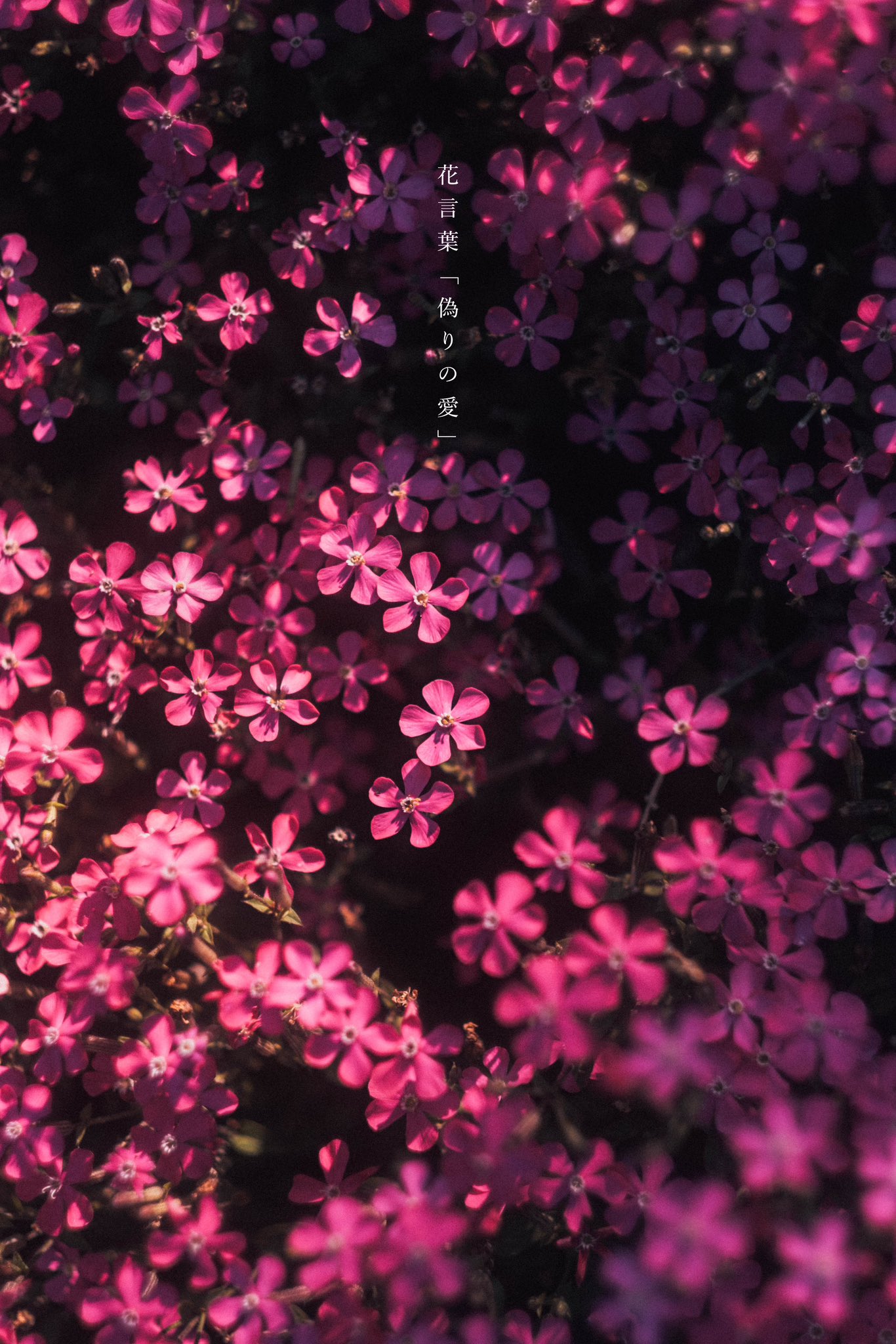 Tomotaka on X: 