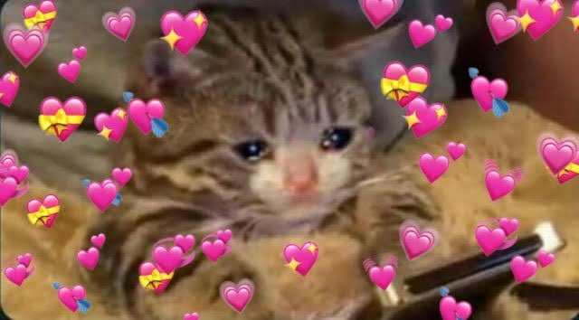 josiesomething's tweet photo. I. I just. @navarroc0821 #CriticalRole #CriticalRoleSpoilers https://t.co/nhhw9zDWZW