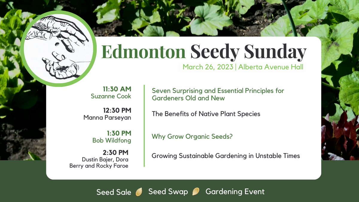 Seedy Sunday at <a href="/AlbertaAvenue/">Alberta Avenue CL</a> is just over a week away!

We're thrilled to present this great line up of talks including <a href="/DustinBajer/">Dustin Bajer (He/Him)</a>, Bob from <a href="/SeedsDiversity/">Seeds of Diversity</a> and many more.

More details edmontonseedysunday.org/2023-event.html

#yeg #yeggarden #yegevents #yegplants #albertagardening