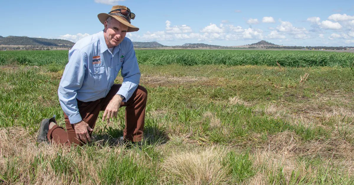 WeedSmart tweet media