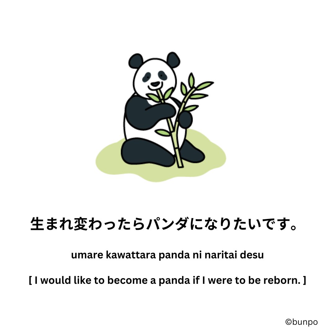 BunpoApp's tweet photo. I would like to become a panda if I were to be reborn. https://t.co/HPo8gVDXAZ