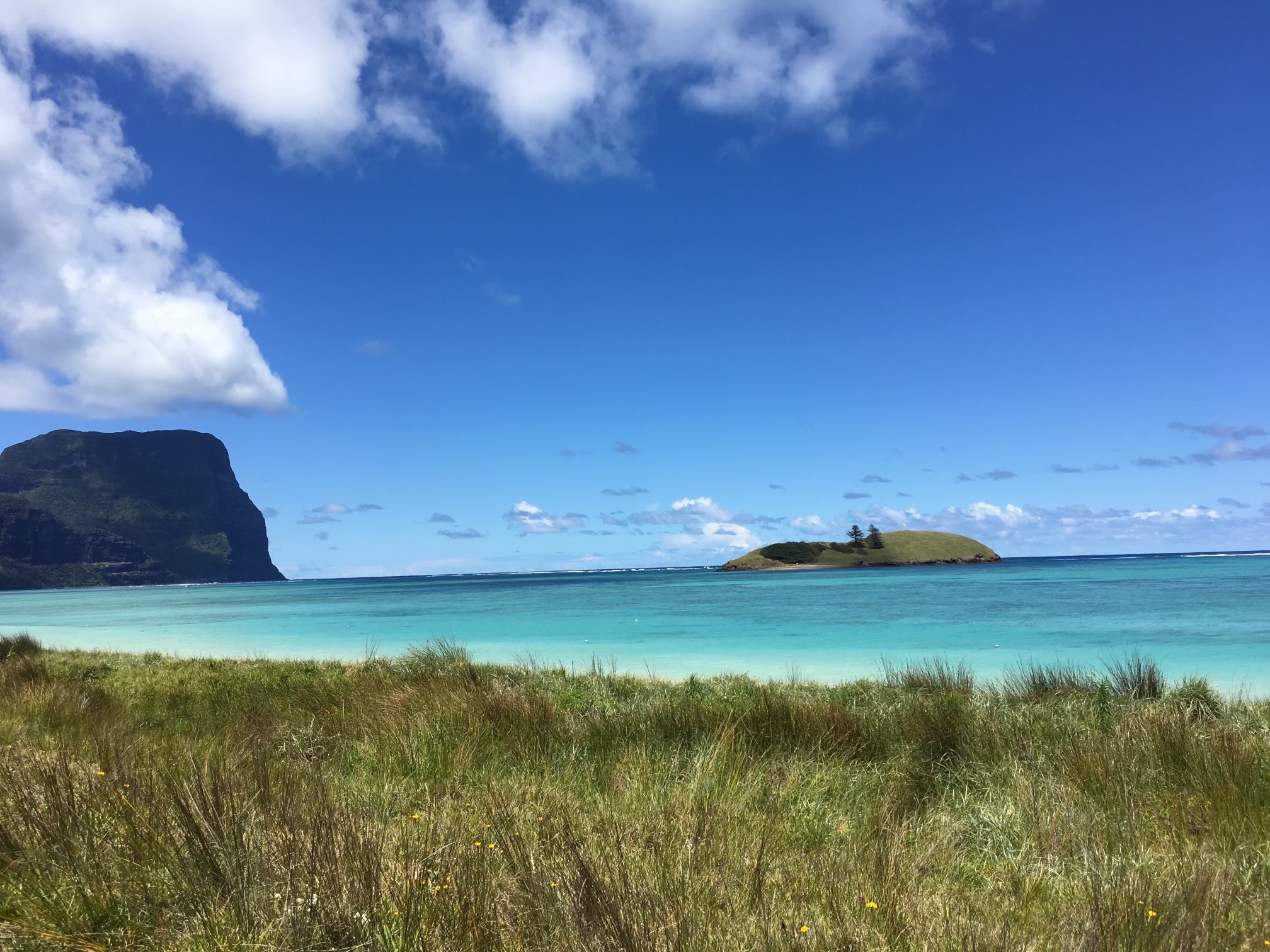 Tanya Plibersek on Twitter "Here’s a few shots from a visit to one of