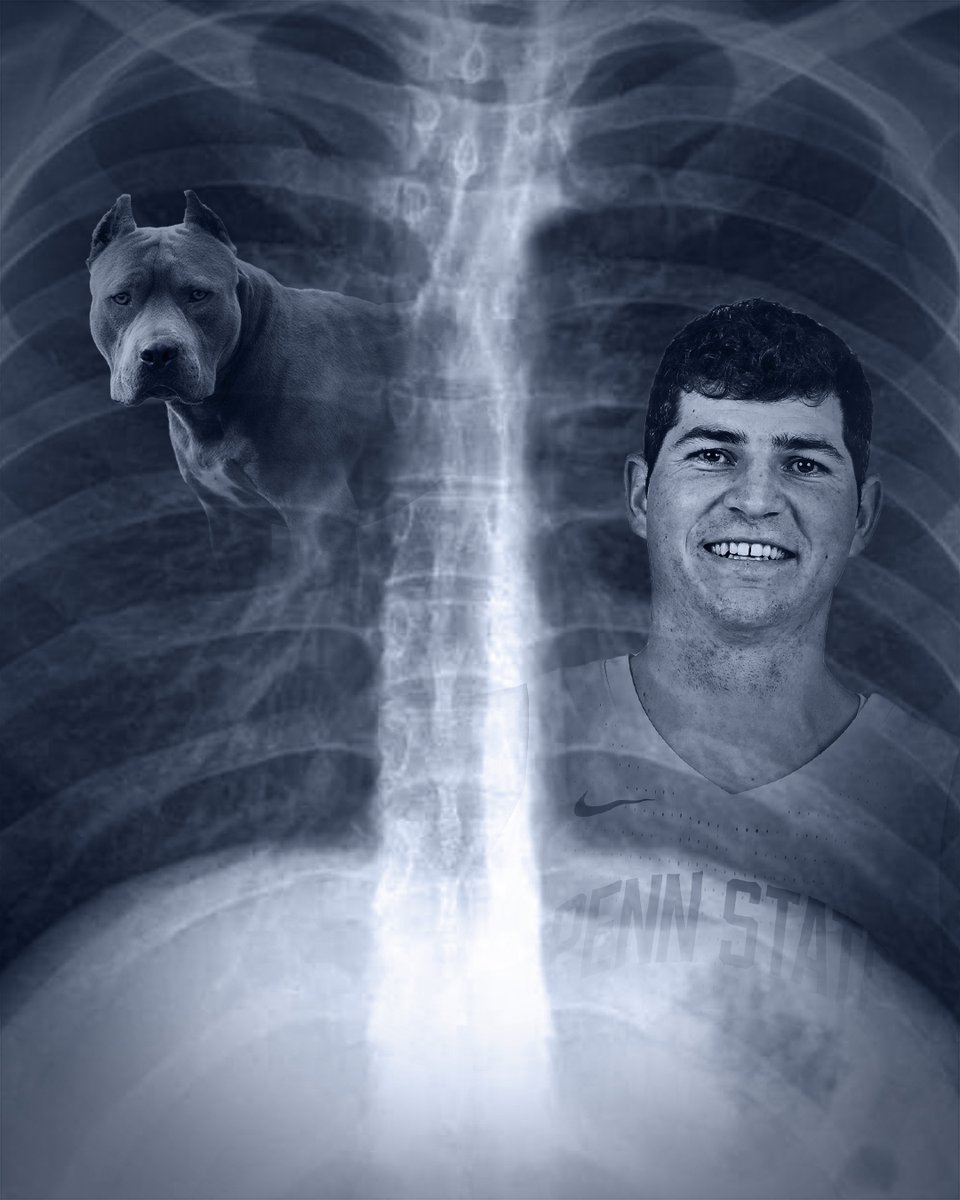 PennStateMBB's tweet image. ANDREW FUNK, AMIRITE? 

#WeAre | #MarchMadness