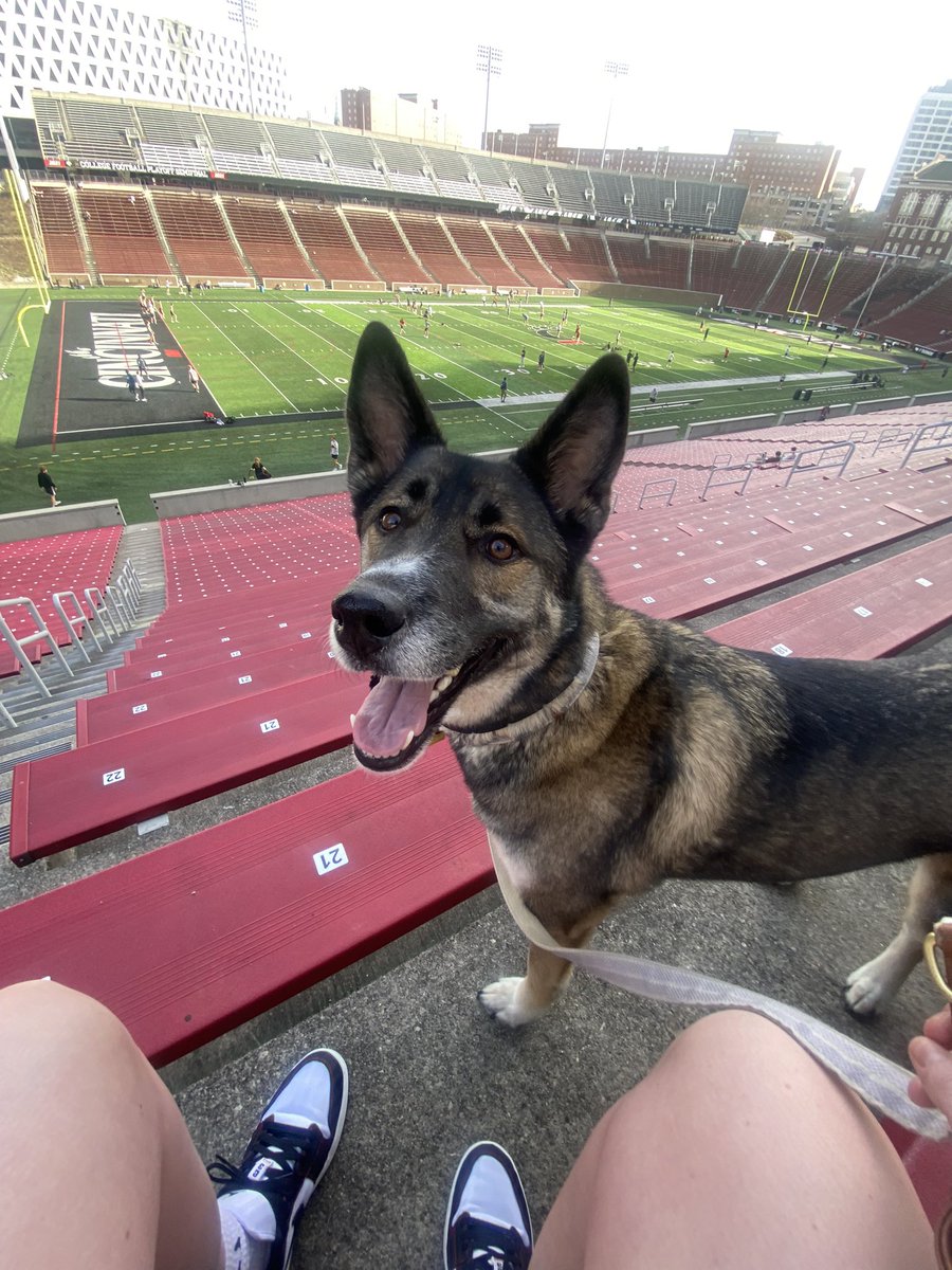 everyone say happy birthday sloan