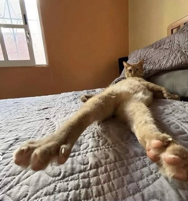 🤑: &ldquo;you sell feet pics?&rdquo; Me: &ldquo;yeah, hold on&rdquo; https://t.co/dpHM0GWAbn