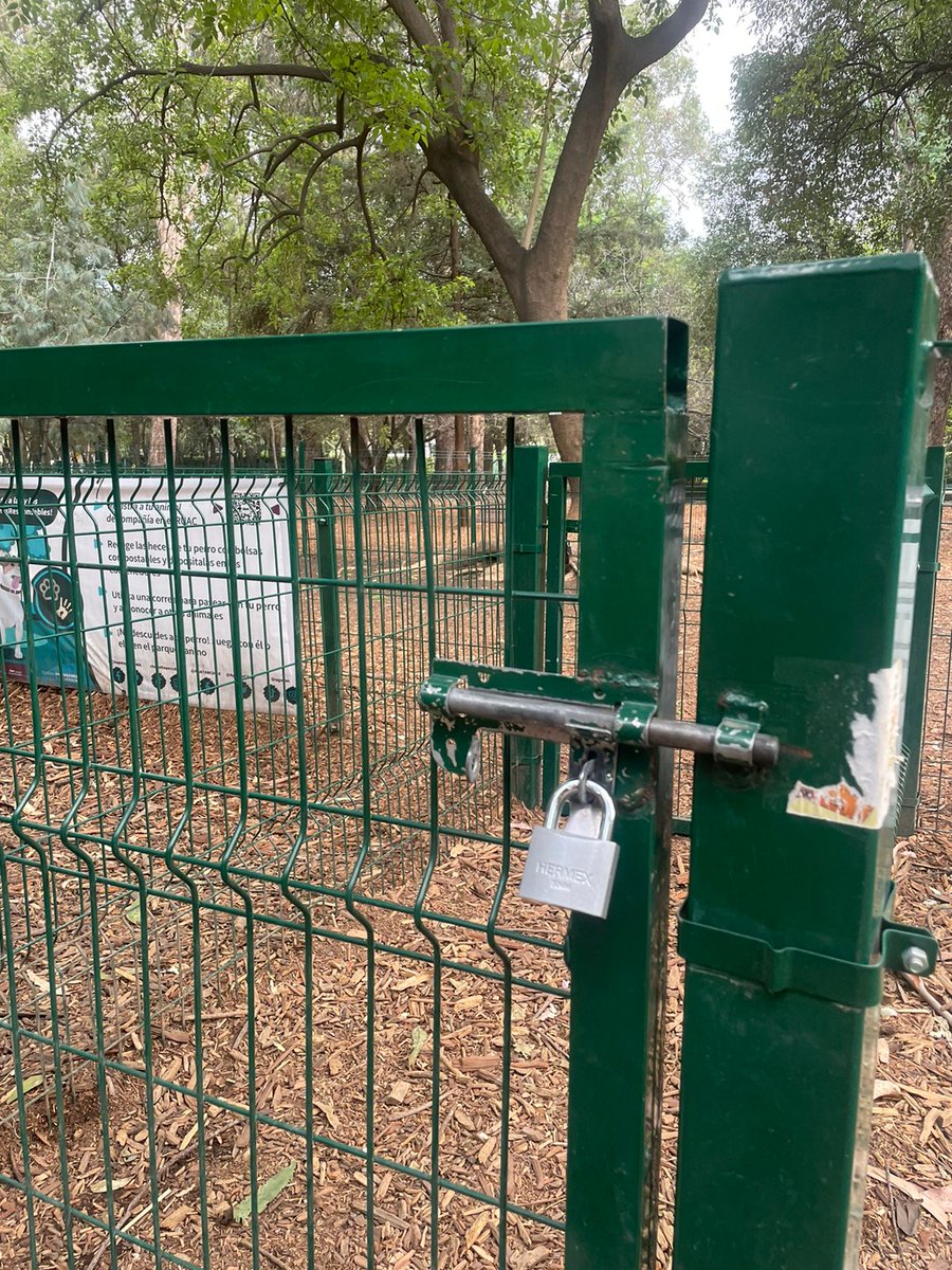 namkcitShctam's tweet photo. @pasotti @mauriciotabe @Claudiashein @GustavoGarciaMH @MHcesac @ObservaMH Vecinos de alrededor de la Gandhi ponen candado a parque de perros en Ruben Dario.  Informan que quieren que solo vayan perros de esa zona. Esto es una apropiación de un espacio público https://t.co/rt7SNA5seF