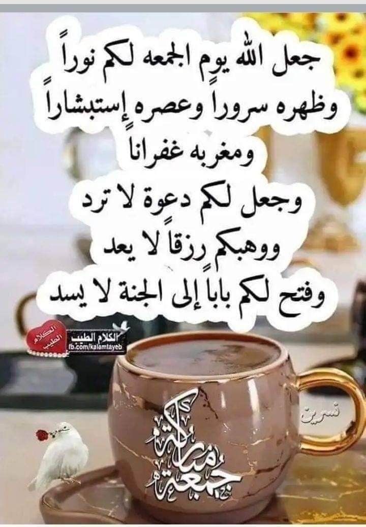 🎀Nour🎀 tweet media