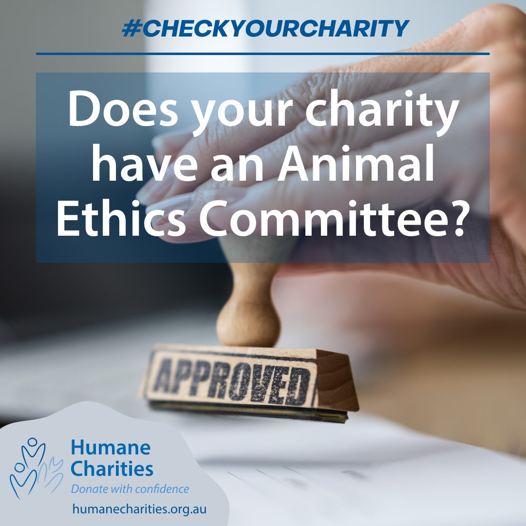 HumaneCharities's tweet image. A handy way to find out if an organisation or charity uses animals in their research is to keep an eye out for details of their ‘Animal Ethics Committee’. Basically, if they were not using animals, they would not need the committee. #checkyourcharity