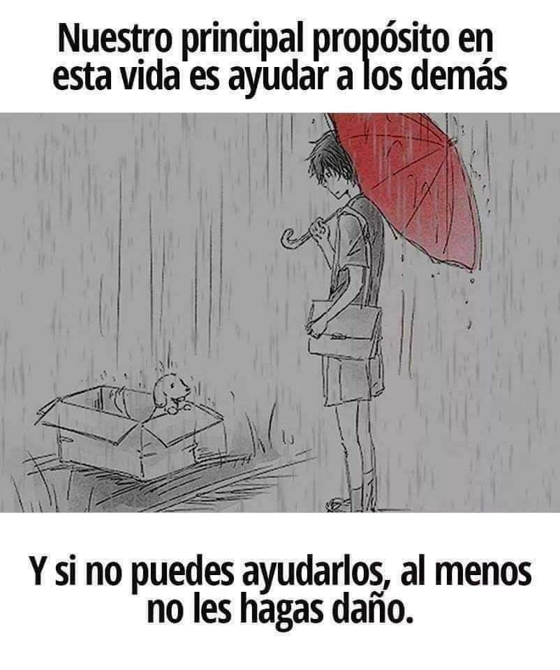 Nuestro principal propósito en la vida es ayudar a los demás 🙌🏻❤️🐶
