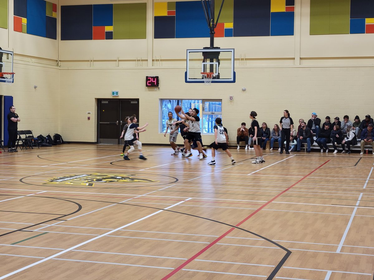 Sean Chase tweet media