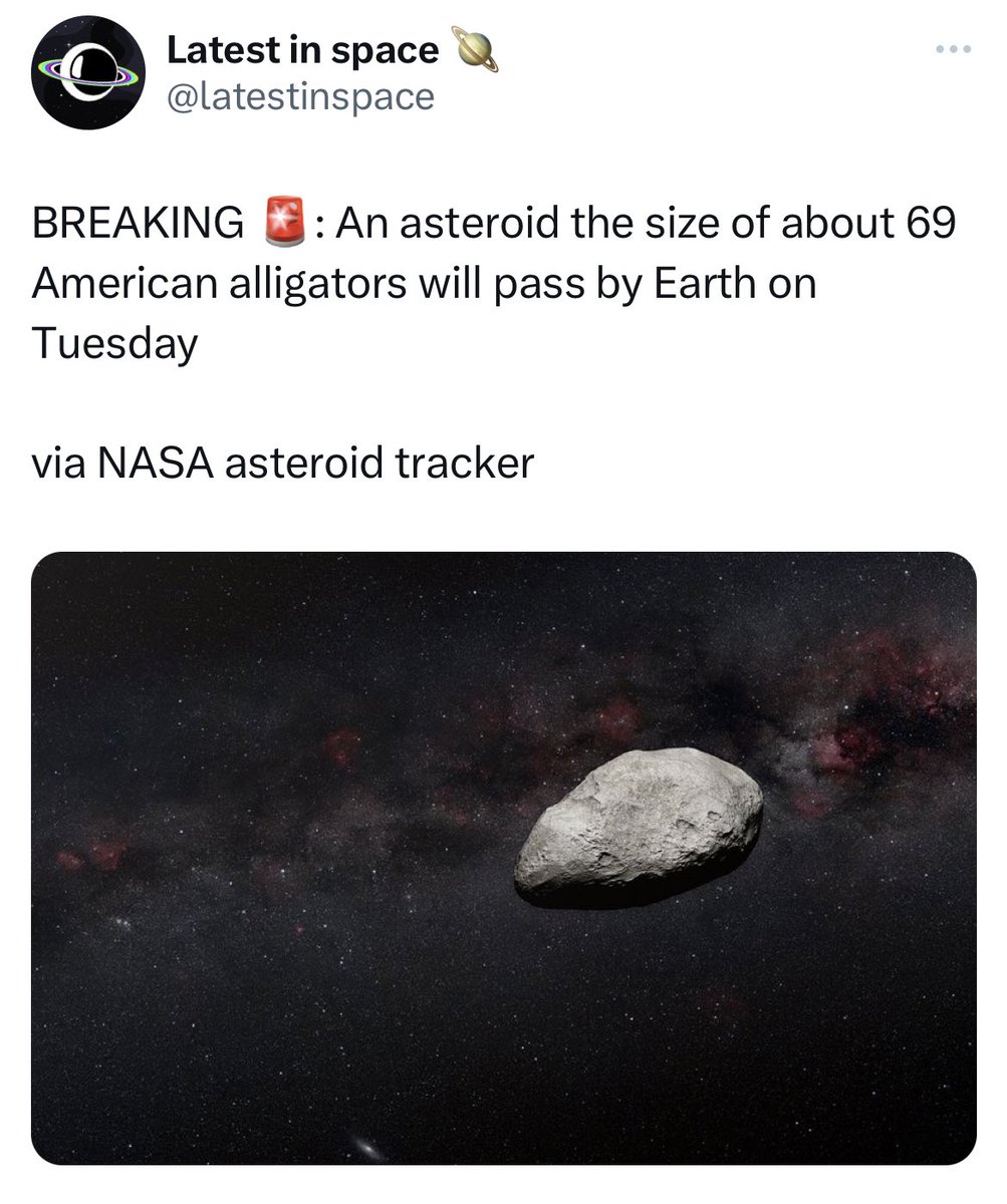 Approximately 101 Alligator Gars☄️🐊