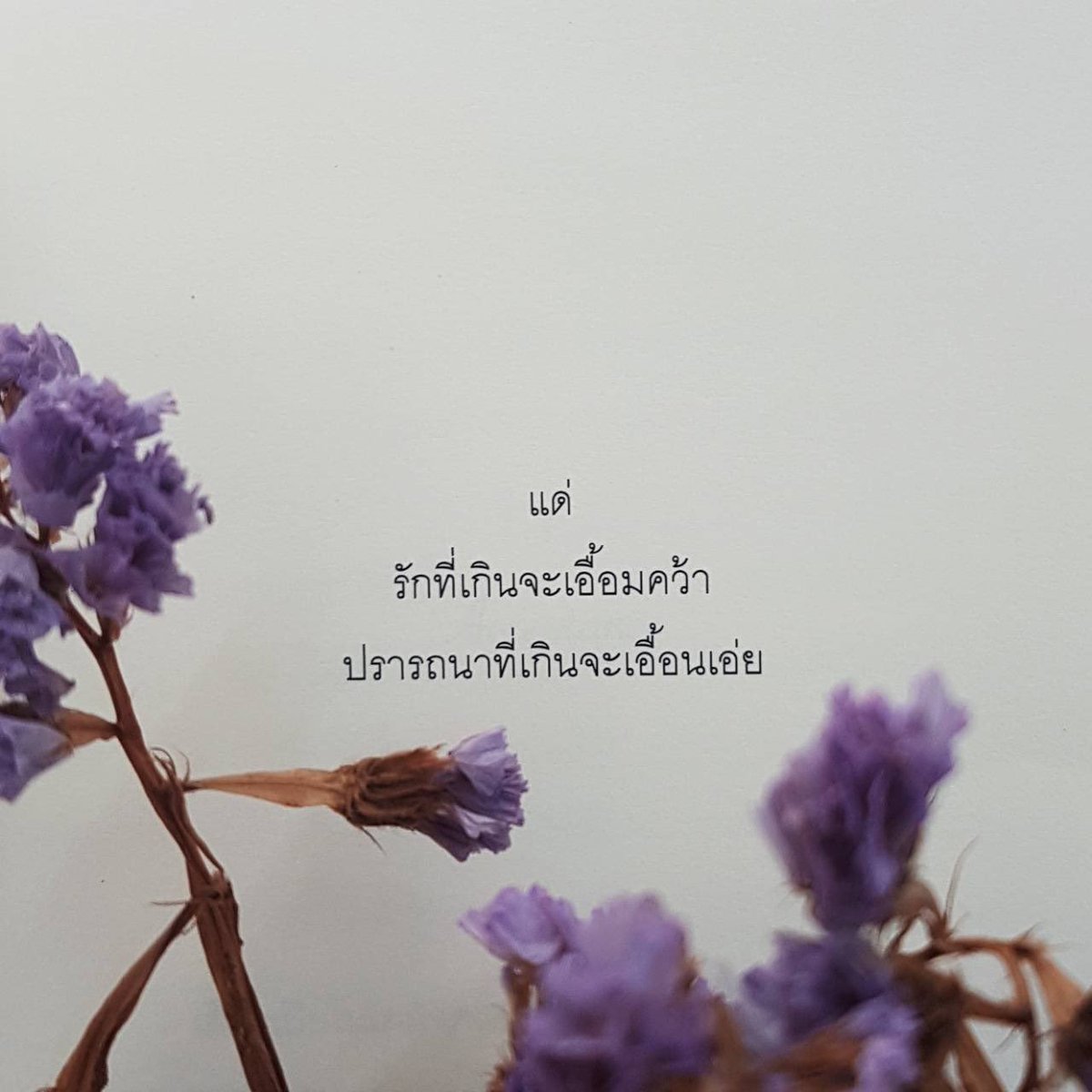 กลิ่นหนังสือ (@klinnangsue) on Twitter photo 