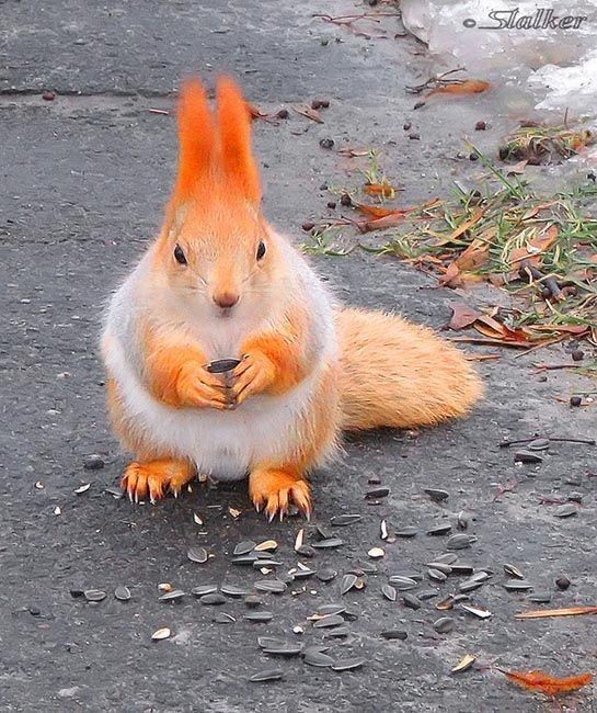 Guten morgen ein schön freitag😊😊😊