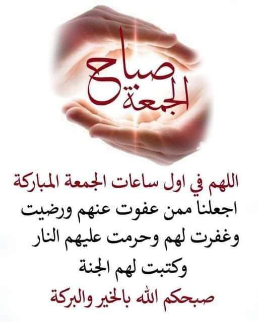 Mohamed Ale (@mohamed64769823) on Twitter photo 