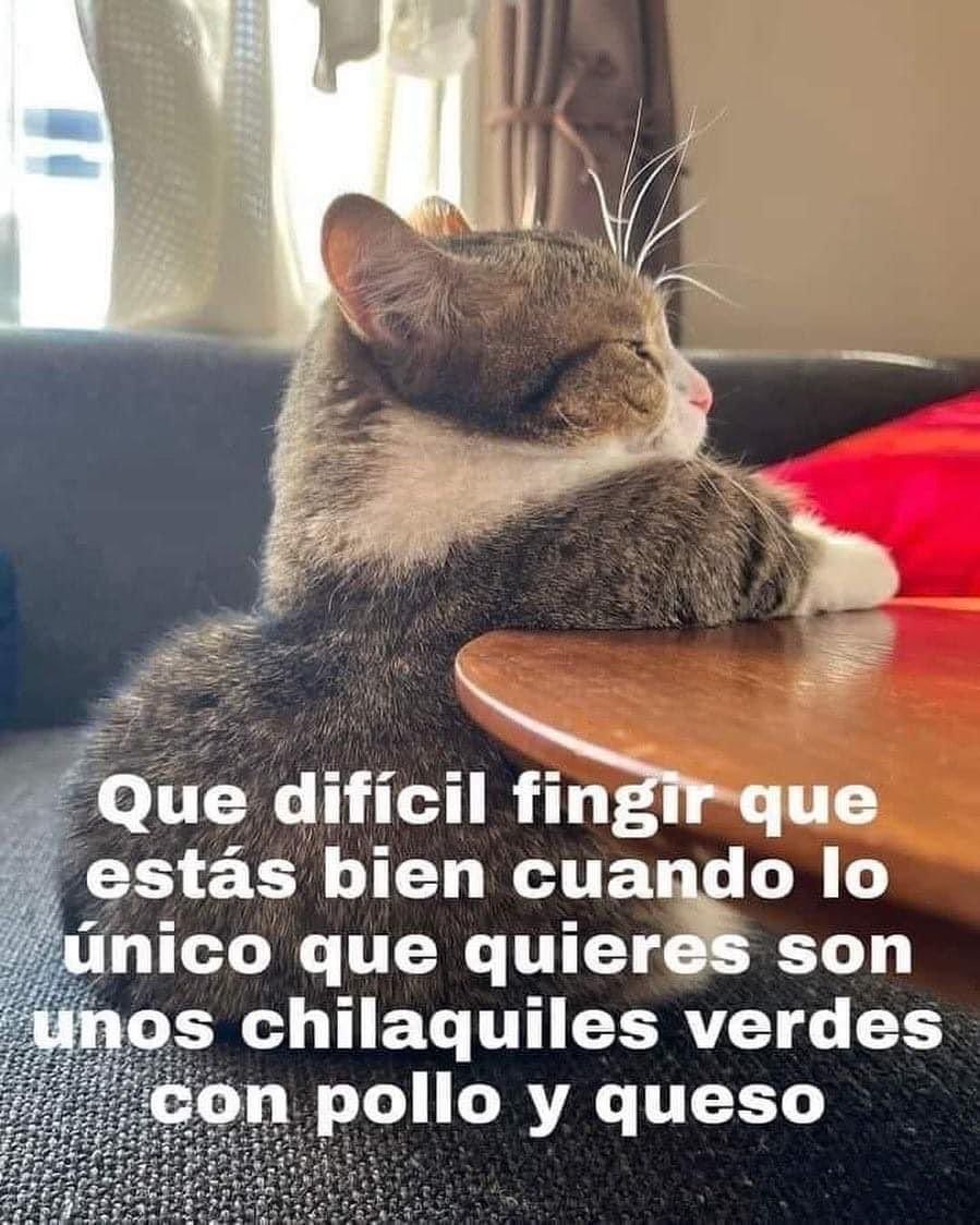 Rayo ⚡️ tweet media