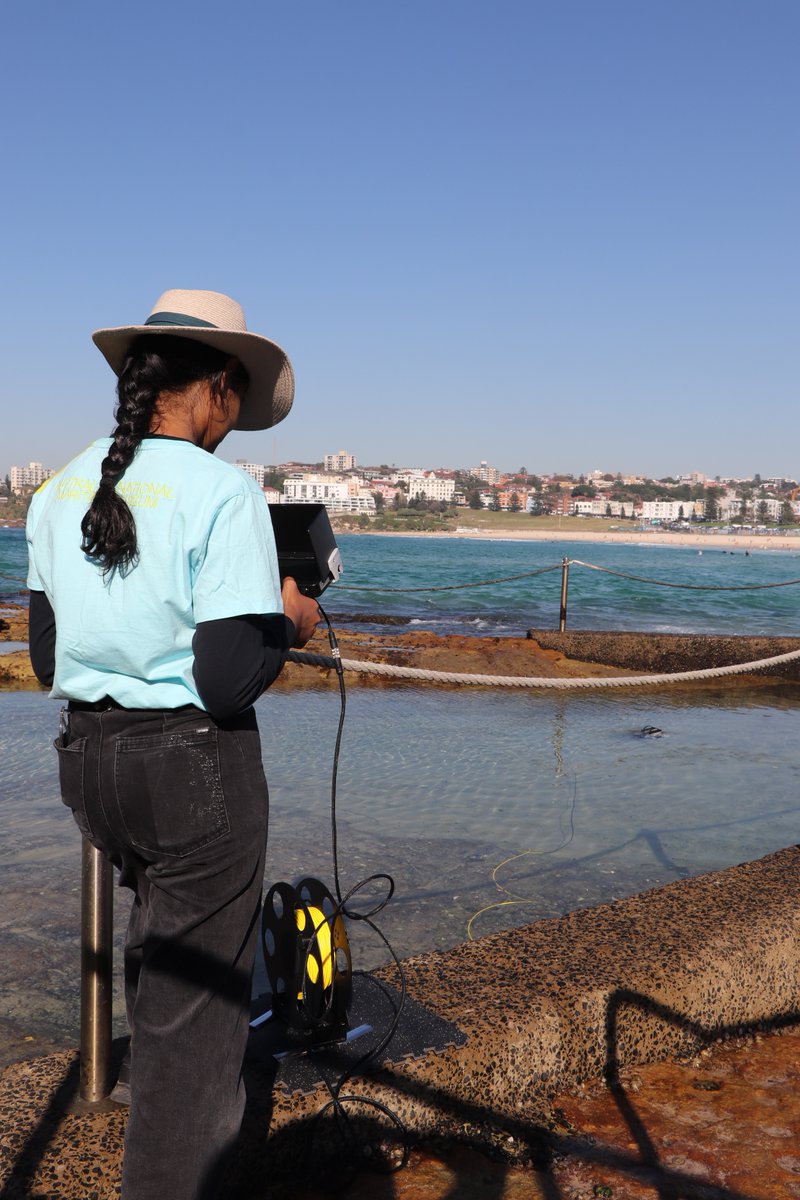 seamuseum_'s tweet photo. The annual @OceanloversFest has returned with a jam-packed program including our senior curator @emilyjateff speaking tomorrow in the Science In Your Swimmers Talk series on "A Titanic Question - our ocean heritage"
Register here https://t.co/4FfIfCTtts #ISeaChange https://t.co/nlWHk7fo0A