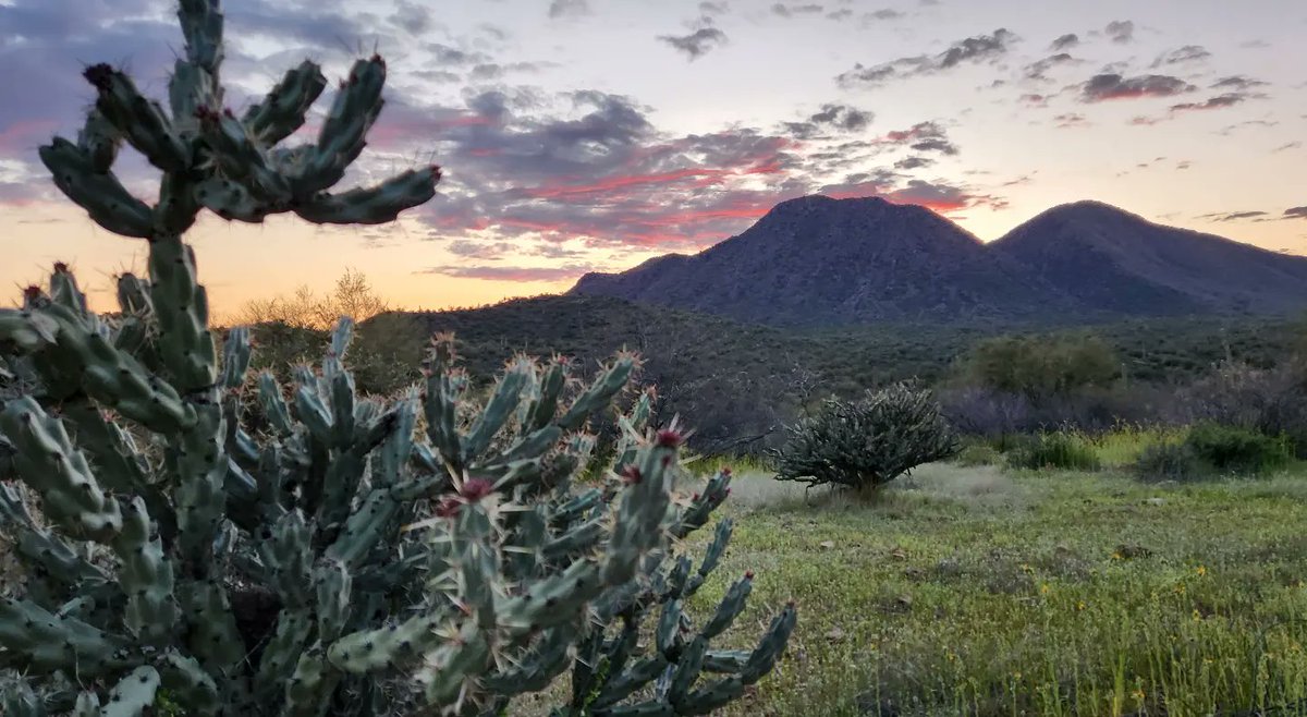HJHSDean's tweet photo. #Arizona @TontoForest https://t.co/JFD6VBsWLy