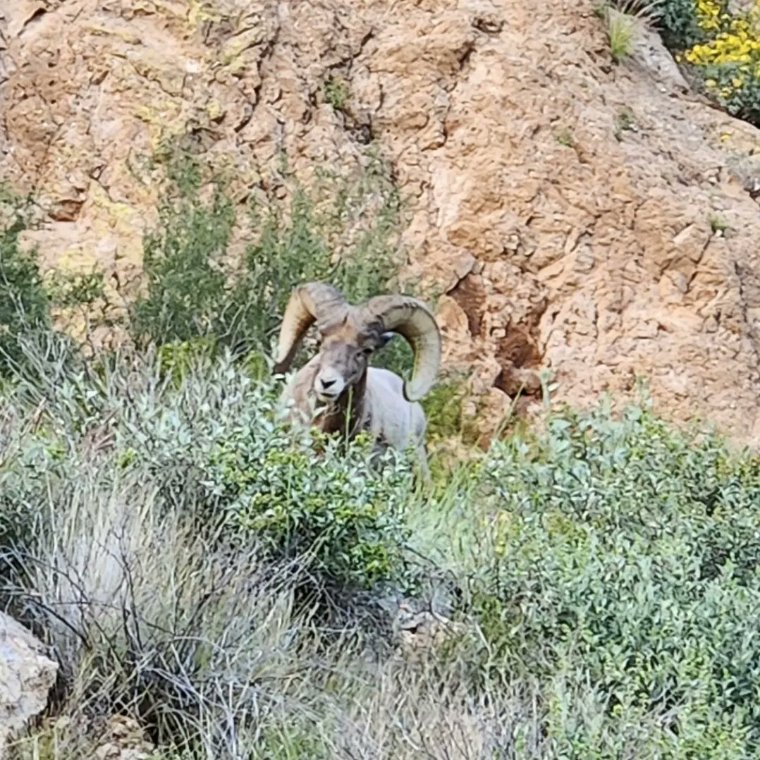 HJHSDean's tweet photo. #Arizona @TontoForest https://t.co/JFD6VBsWLy