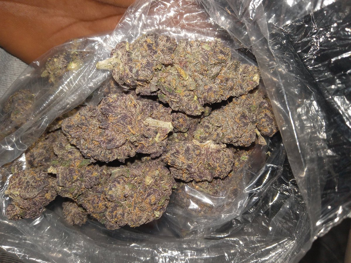 Koop_615's tweet photo. #purp #PF "Shit Smoking" #rapperweed #Frostbite ❄ https://t.co/mx5xqomZ1s