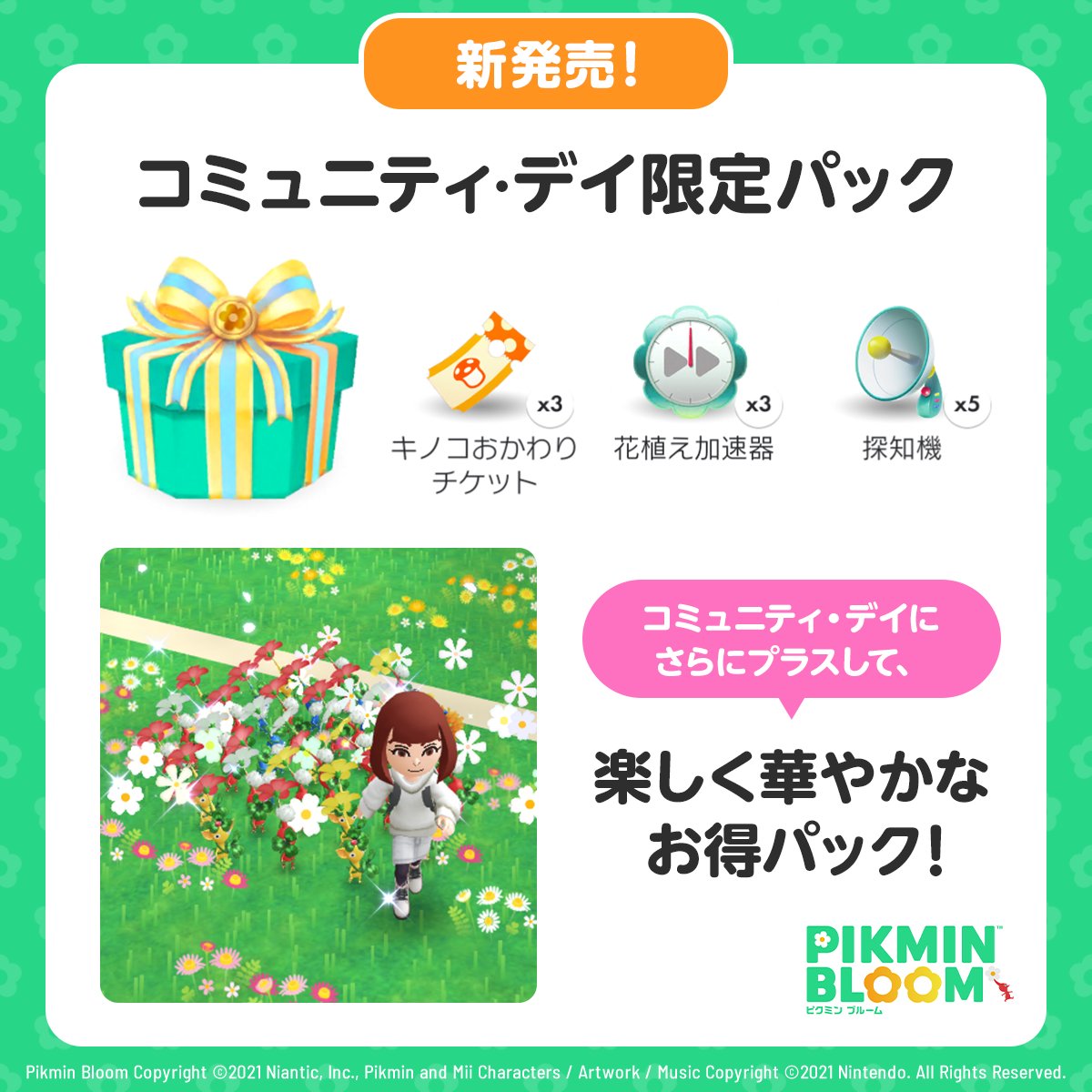 Pikmin Bloom Japan │ ピクミンブルーム on X