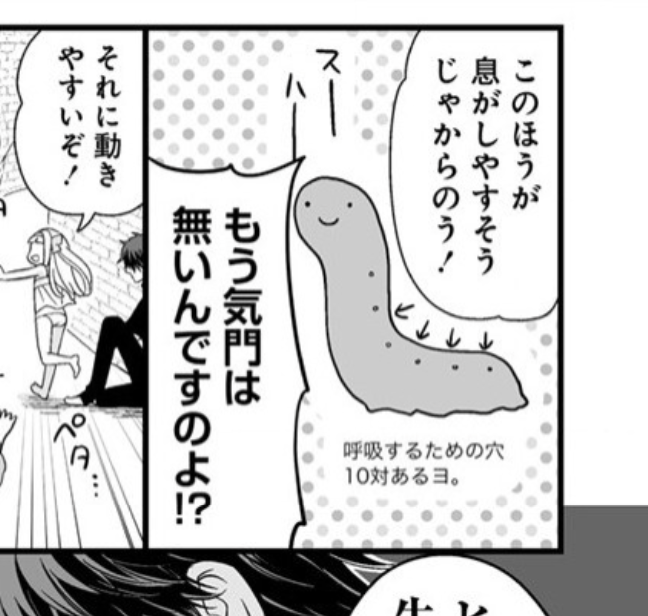 マユの担当さんはGとかゲジゲジとかは大丈夫なのに「芋虫だけが地雷🐛」なのでネームの時点で身構えるらしいです(これとか)。

#虫の皇女マユの旅
#ストーリアダッシュ
【読む⬇️】
https://t.co/Un3ESbjcnJ 
