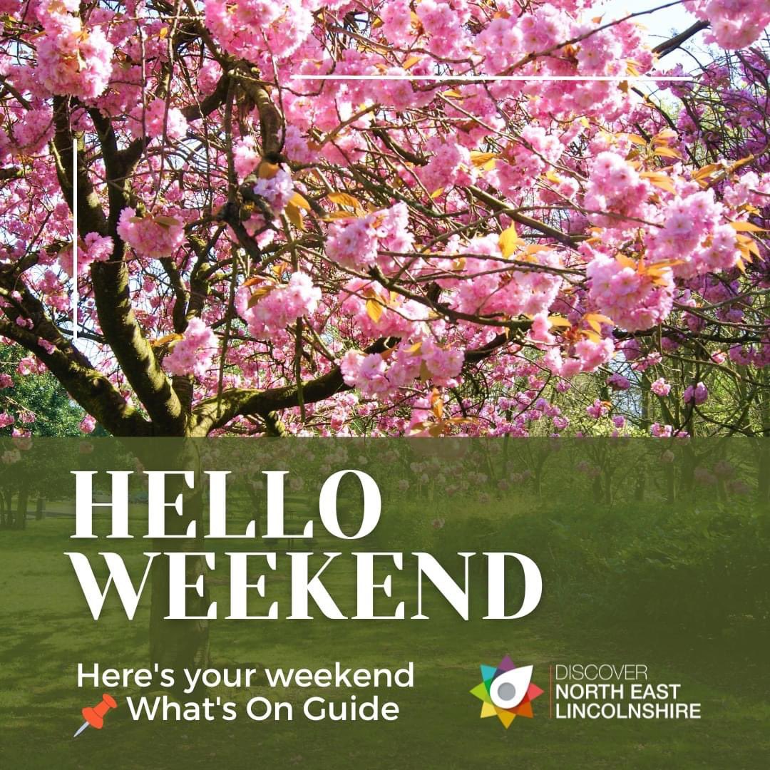 DiscoverNEL tweet media