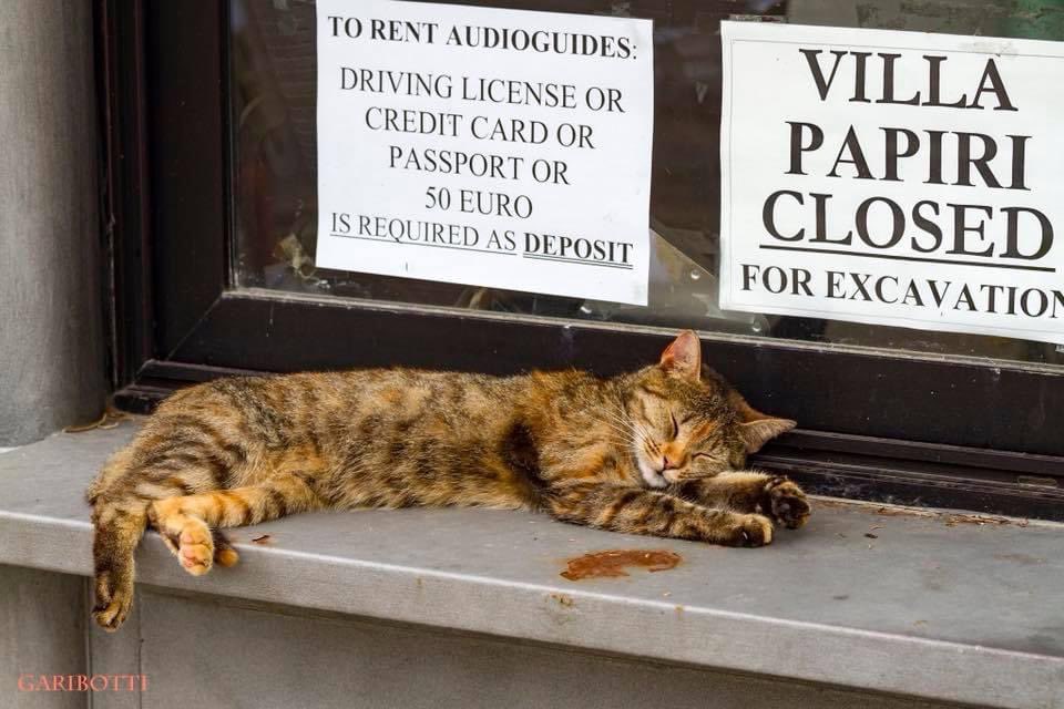 Nora Garibotti tweet media