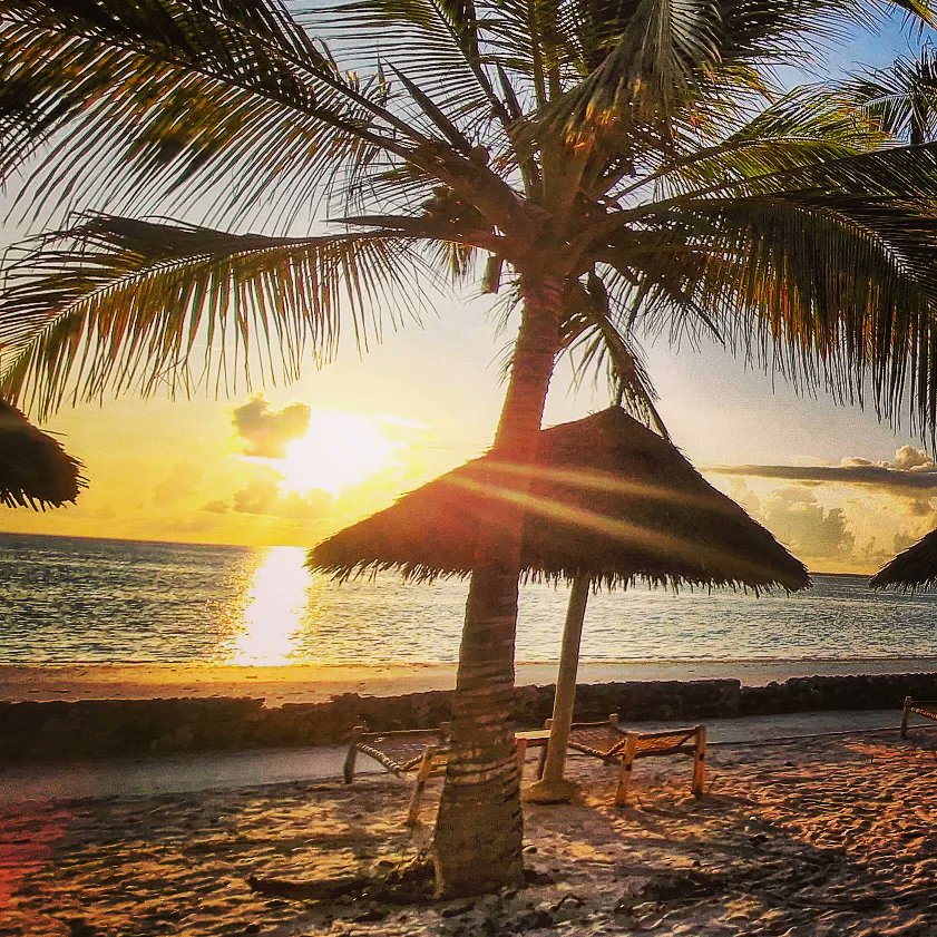 swinoujscie's tweet photo. Taki poranny widok ... Dzien dobry... #Szysz #travel #wakacje #urlop #tropical #Zanzibar #Tanzania #phototravel #Uroa #UroaBay #UroaBayResort #wschód #wschódsłońca #afryka #africa #island https://t.co/mYCa3gYW4D