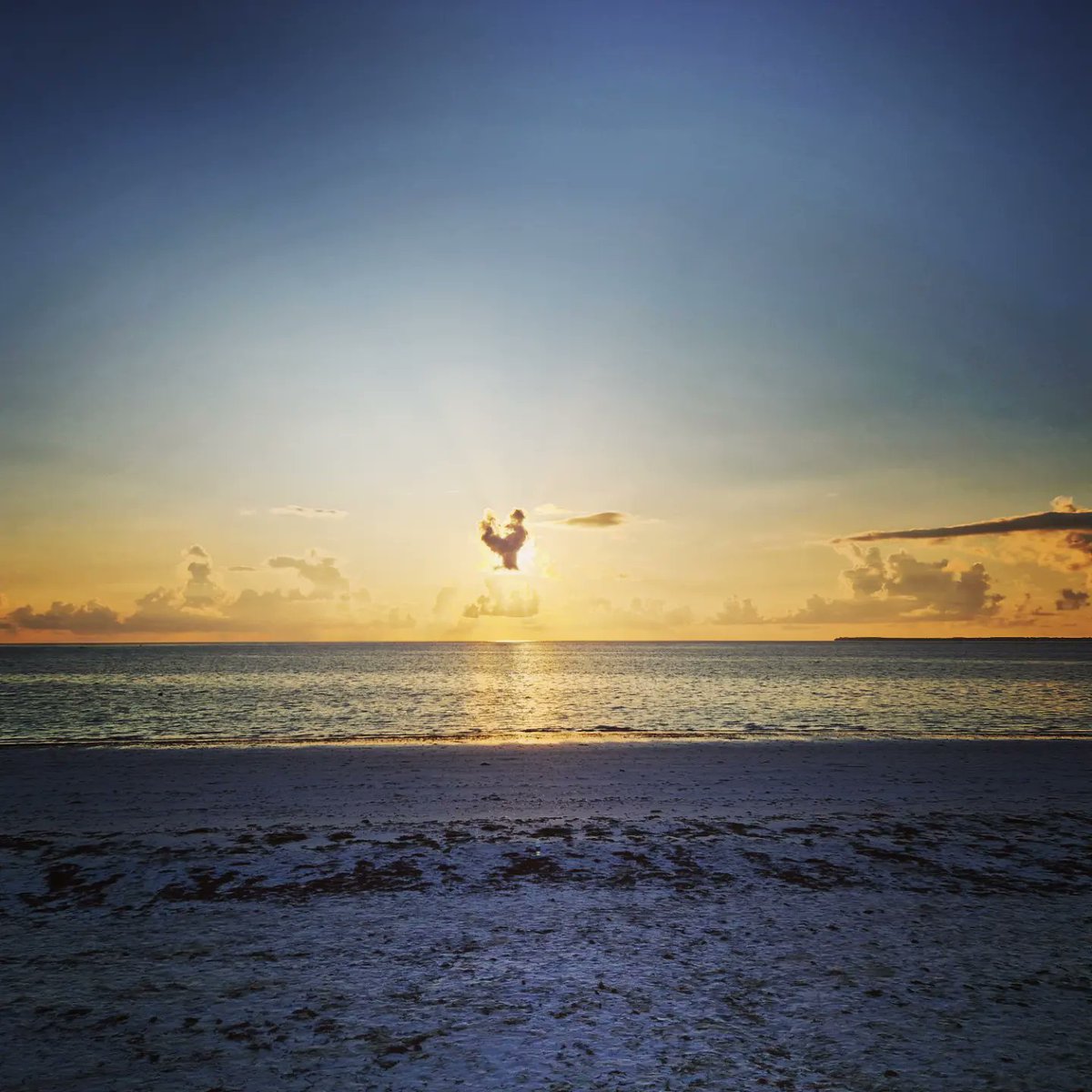 swinoujscie's tweet photo. Taki poranny widok ... Dzien dobry... #Szysz #travel #wakacje #urlop #tropical #Zanzibar #Tanzania #phototravel #Uroa #UroaBay #UroaBayResort #wschód #wschódsłońca #afryka #africa #island https://t.co/mYCa3gYW4D