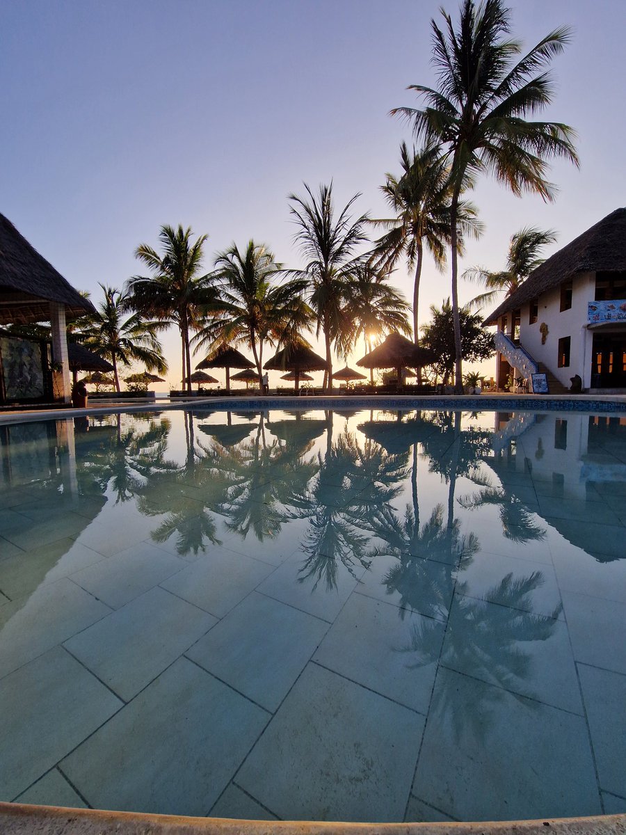 swinoujscie's tweet photo. Taki poranny widok ... Dzien dobry... #Szysz #travel #wakacje #urlop #tropical #Zanzibar #Tanzania #phototravel #Uroa #UroaBay #UroaBayResort #wschód #wschódsłońca #afryka #africa #island https://t.co/mYCa3gYW4D